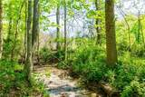 37500 Goose Run Road - Photo 40