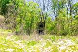 37500 Goose Run Road - Photo 41