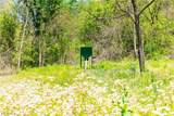 37500 Goose Run Road - Photo 42