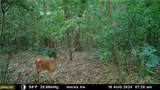 37500 Goose Run Road - Photo 48