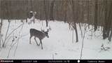 37500 Goose Run Road - Photo 49