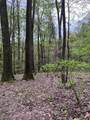  Sandy Ridge Road - Photo 13