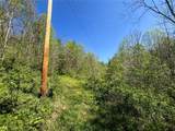 49250 Cowgill Road - Photo 38