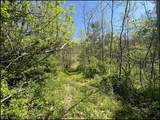 49250 Cowgill Road - Photo 42