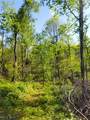  Patton Road - Photo 38