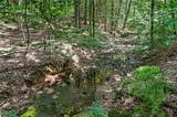 1123 Hametown Road - Photo 8