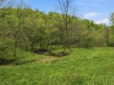 0 Pratts Run Road - Photo 13
