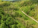 0 Pratts Run Road - Photo 15