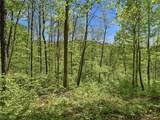 0 Pratts Run Road - Photo 16
