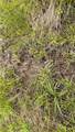  Youngstown Kingsville Road - Photo 14