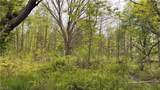  Youngstown Kingsville Road - Photo 4
