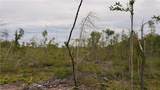  Youngstown Kingsville Road - Photo 9