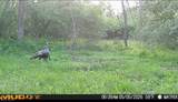  Pugh Road - Photo 5