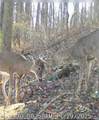  Pugh Road - Photo 7