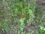 0 Dayton Road - Photo 14