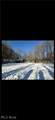 0 Winterberry Lane - Photo 2
