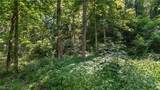 3200 Woodyard Road - Photo 2
