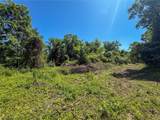 Lot 3 Altamont Rd - Photo 2