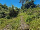 Lot 3 Altamont Rd - Photo 3