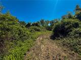 Lot 3 Altamont Rd - Photo 8