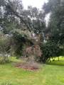 10115 Norwich Drive - Photo 18