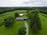 11489 Roller Coaster Road - Photo 3