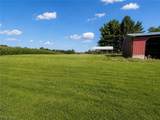 11489 Roller Coaster Road - Photo 37