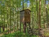 6997 Ore Hill Road - Photo 43
