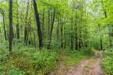 17881 Horseshoe Bend Road - Photo 29
