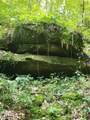 17881 Horseshoe Bend Road - Photo 43