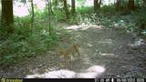 17881 Horseshoe Bend Road - Photo 44