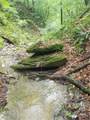 17881 Horseshoe Bend Road - Photo 46
