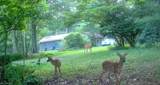 33111 Township Road 490 - Photo 50
