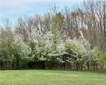 5010 State Route 307 - Photo 33