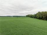 2428 Applegate Road - Photo 31