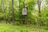 28957 Tr 240 - Photo 46