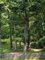 37761 Milann Drive - Photo 40