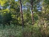41298 Pleasant Ridge Rd - Photo 10