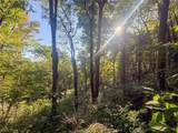 41298 Pleasant Ridge Rd - Photo 12