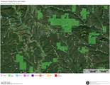 41298 Pleasant Ridge Rd - Photo 37