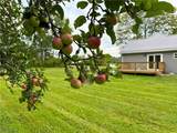 5355 Anderson Road - Photo 28