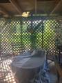 36889 Kinzel Road - Photo 24