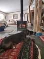1170 Dillworth Road - Photo 14