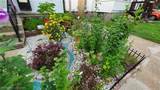 1333 Ramsey Street - Photo 30