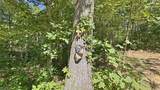 742 Peters Cave Road - Photo 46