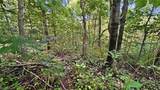 742 Peters Cave Road - Photo 47
