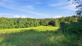742 Peters Cave Road - Photo 48