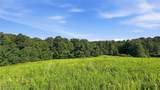 742 Peters Cave Road - Photo 49