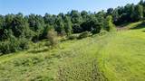 742 Peters Cave Road - Photo 50