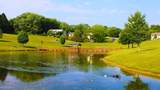 410 Apple Hill Drive - Photo 35